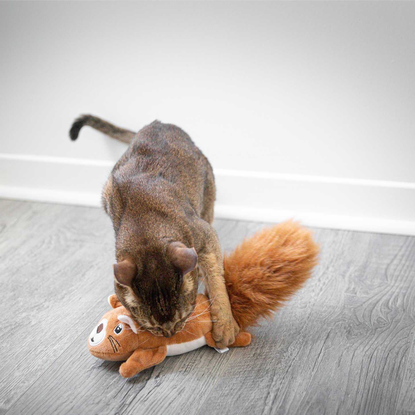 Electronic motion toy for cat, squirrel style