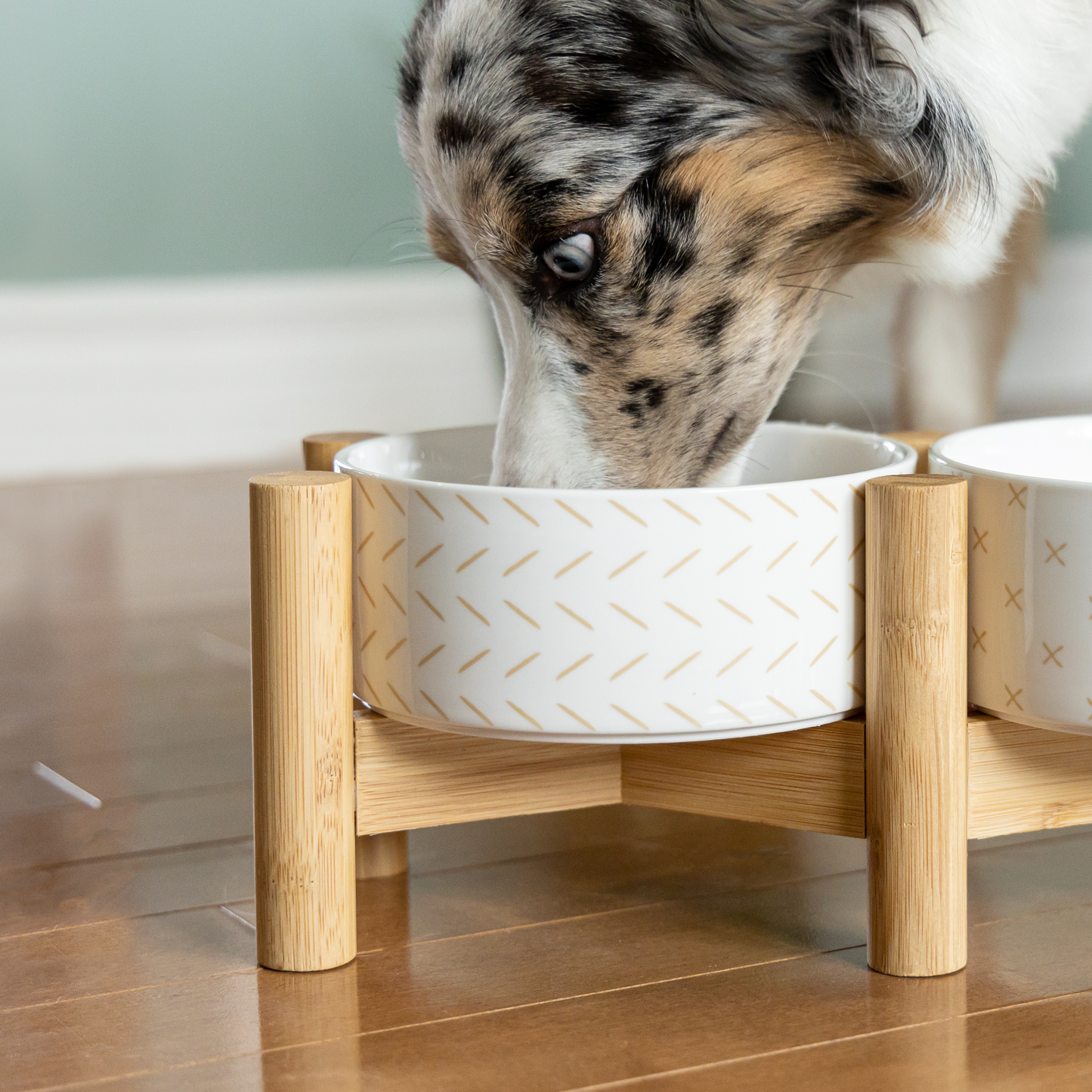 Elevated ceramic bowls on bamboo base for dog, white