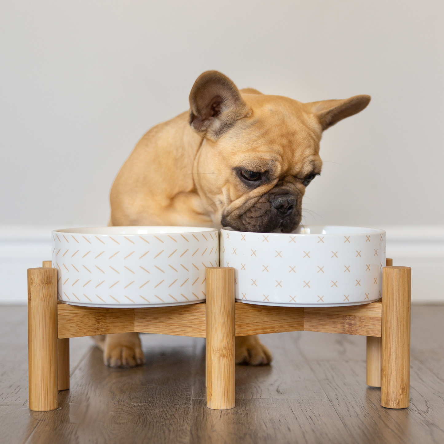 Elevated ceramic bowls on bamboo base for dog, white