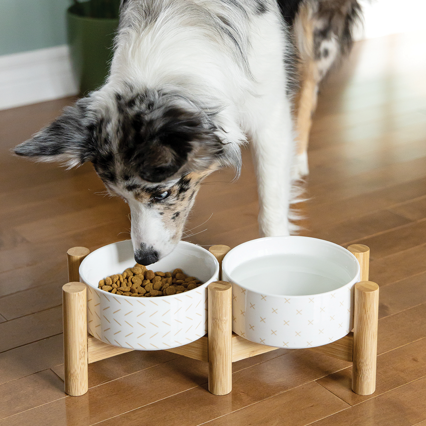 Elevated ceramic bowls on bamboo base for dog, white