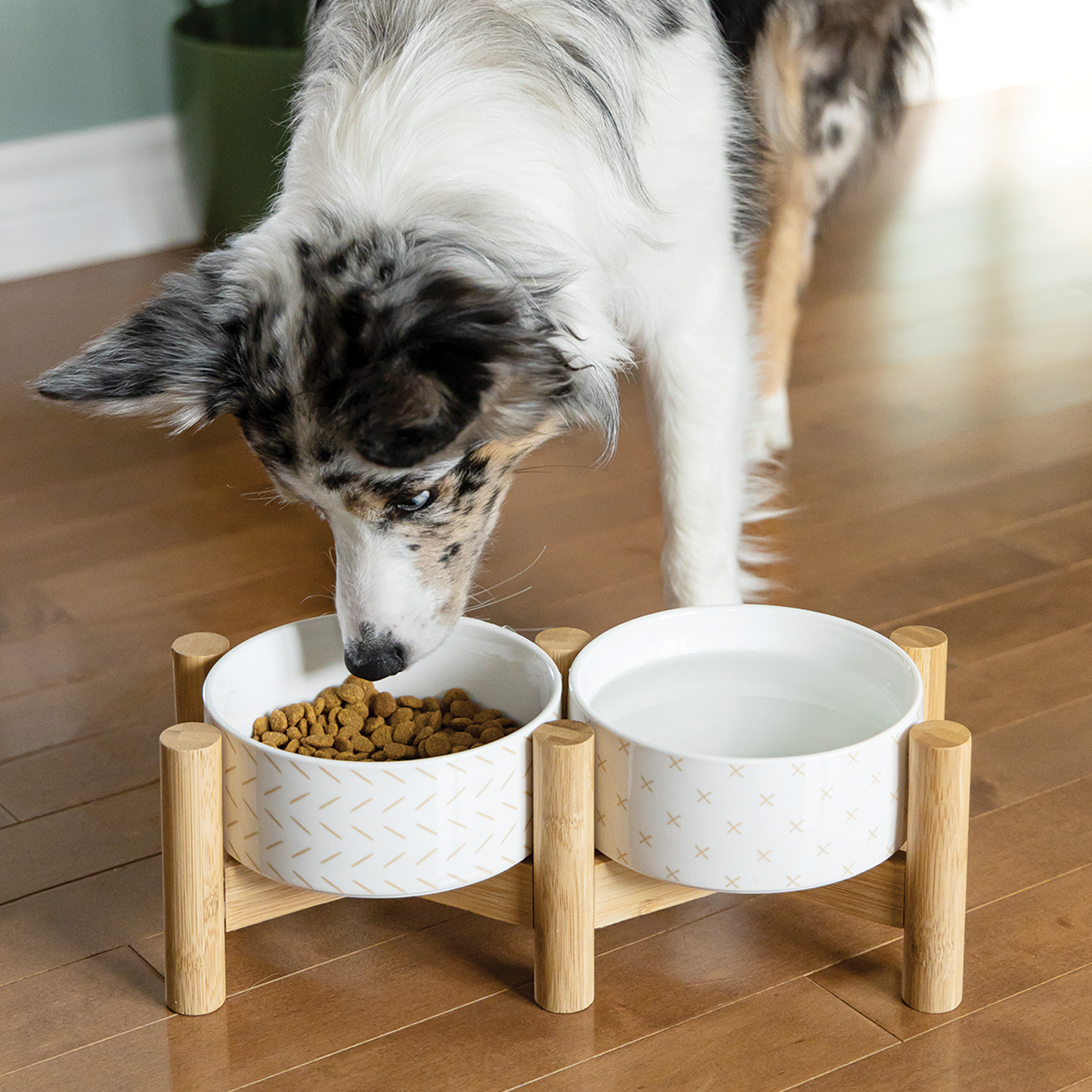 Elevated ceramic bowls for dog 2 sizes BeOneBreed
