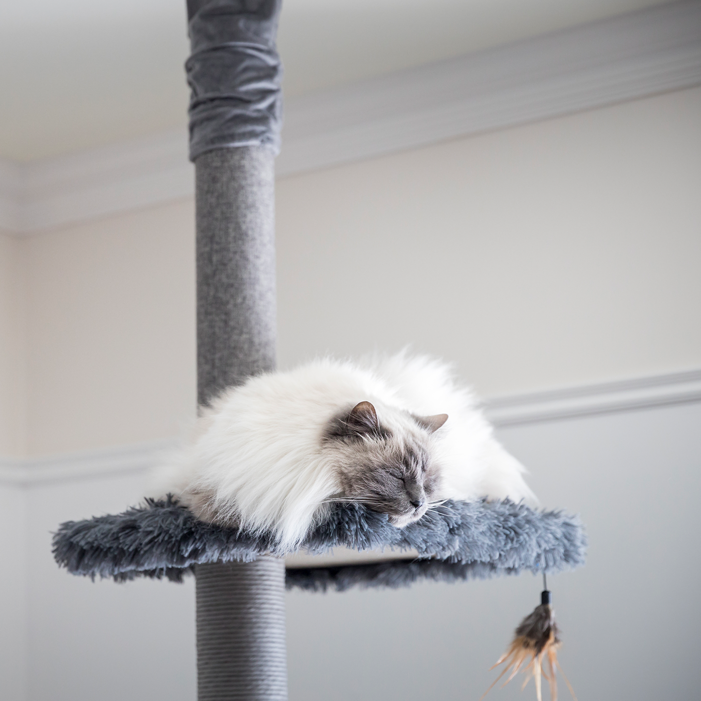 Cat tree scratcher pole, gray fur