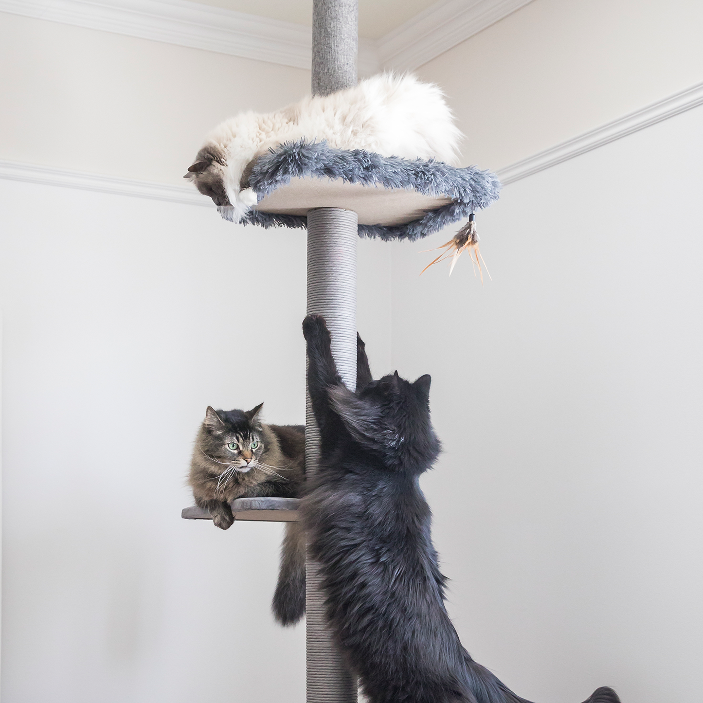 Cat tree scratcher pole, gray fur