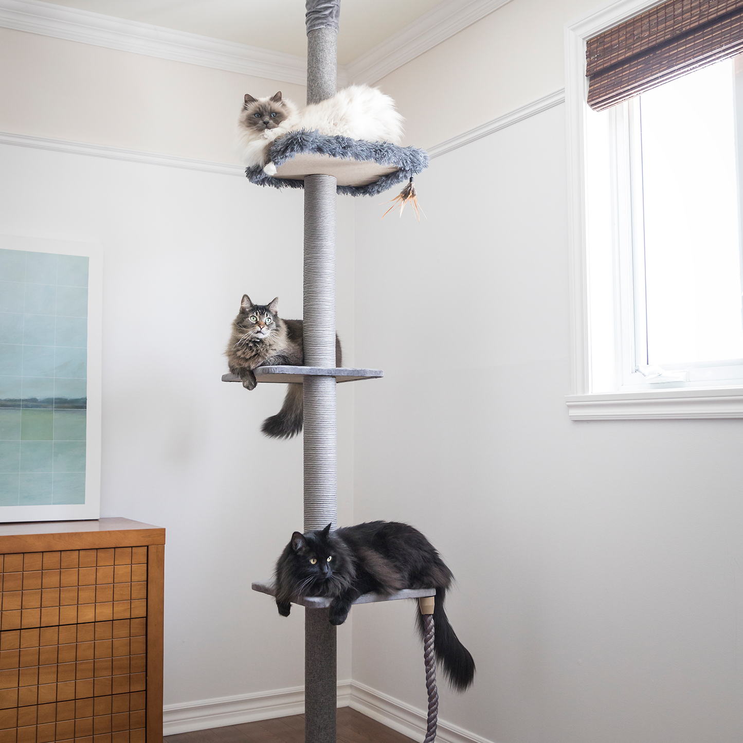 Cat tree scratcher pole, gray fur