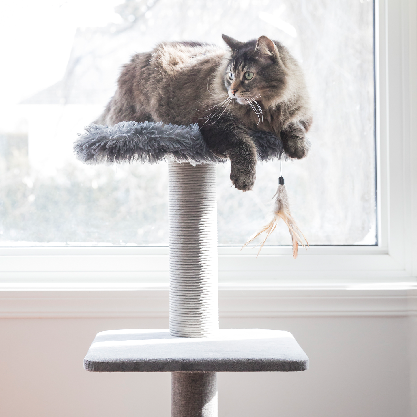 Cat tree scratcher pole, gray fur