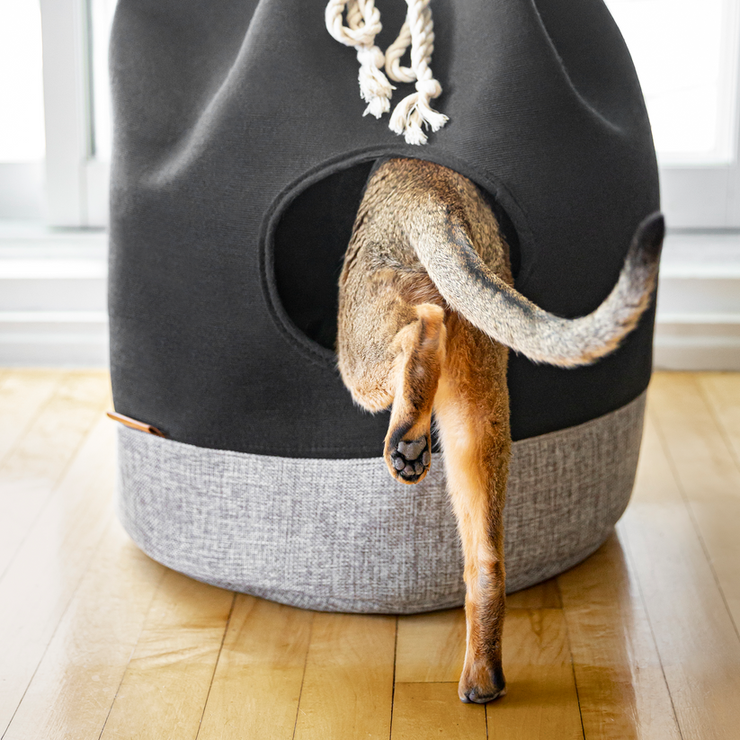 Cat hide bed best sale