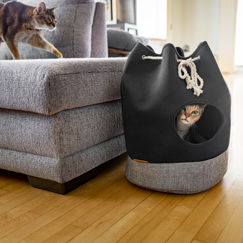 20% off cat trees & beds