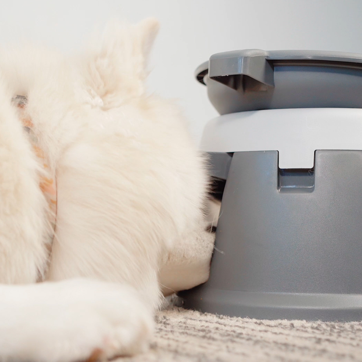 Interactive puzzle feeder bowl for dog, multi-levels