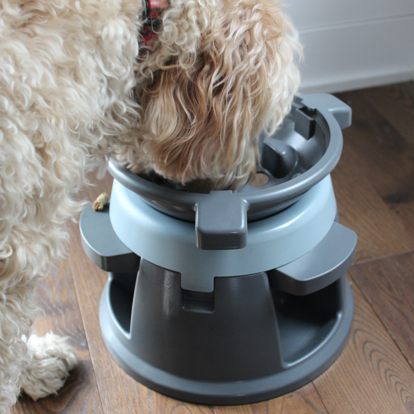 Interactive puzzle feeder bowl for dog, multi-levels