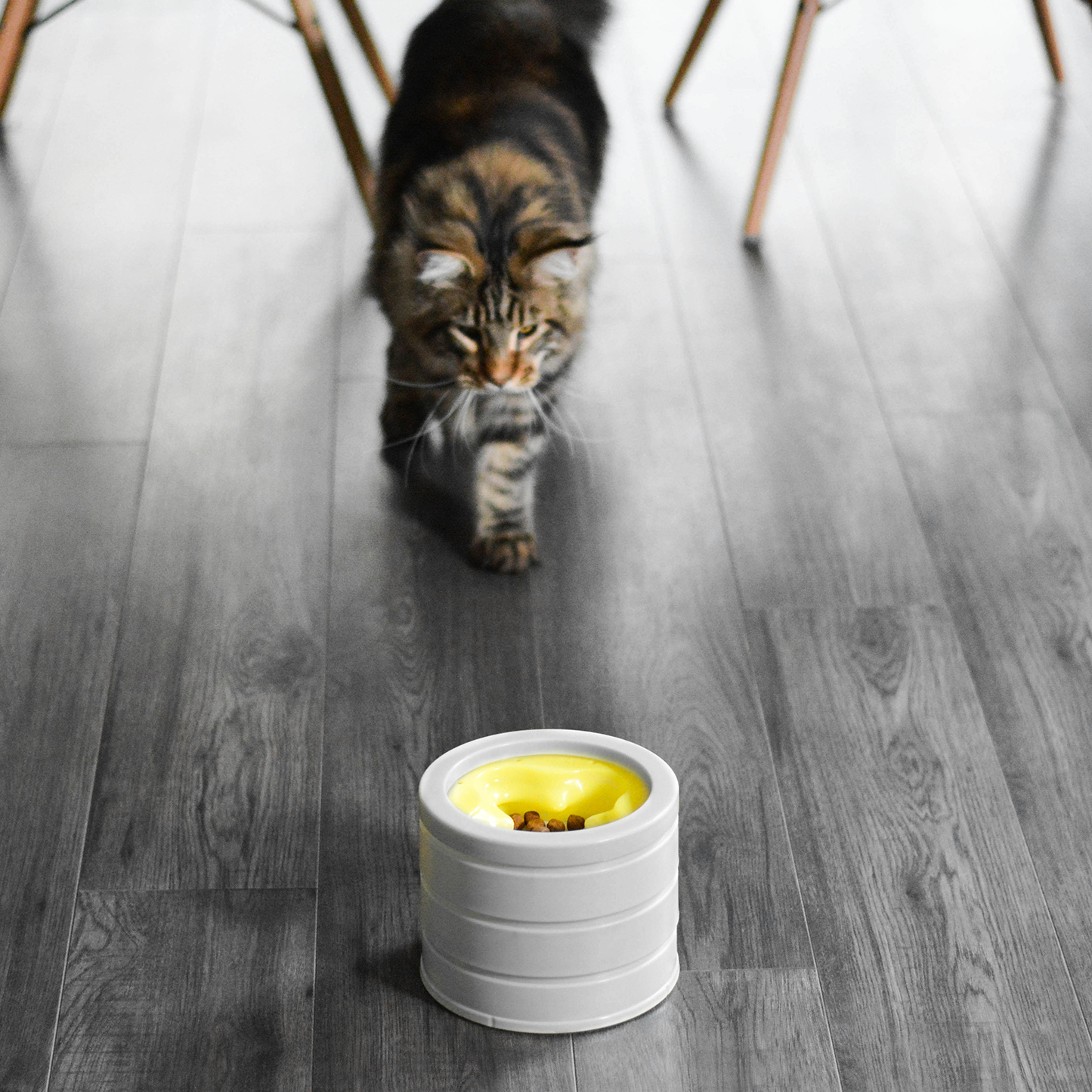 Intellikatt award winning interactive cat bowl
