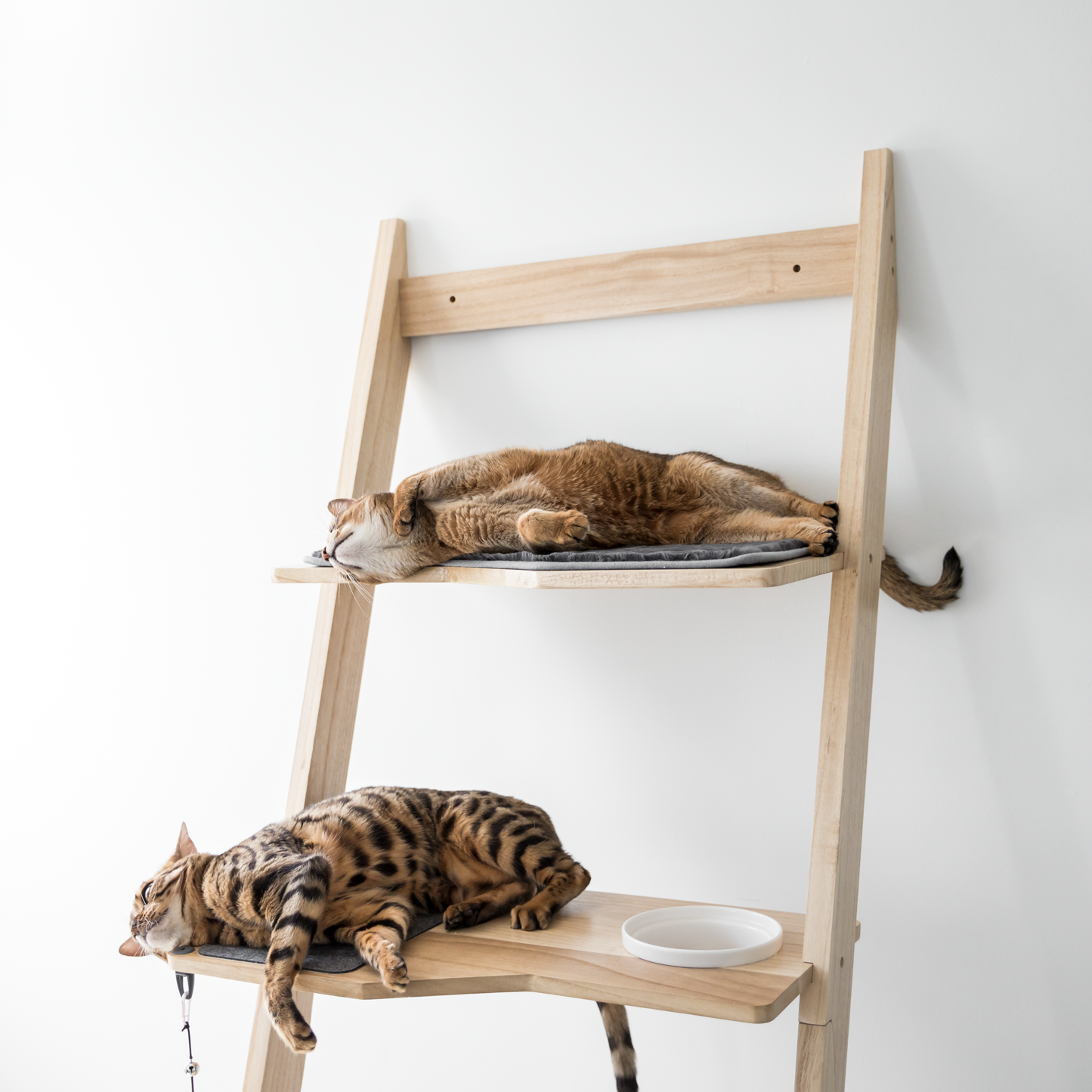 multi-story modern cat tree with accessories, beige wood