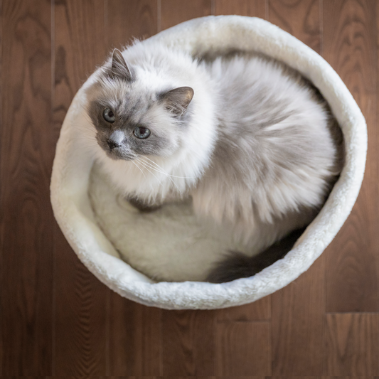 Linen basket bed for cat and small dog, beige