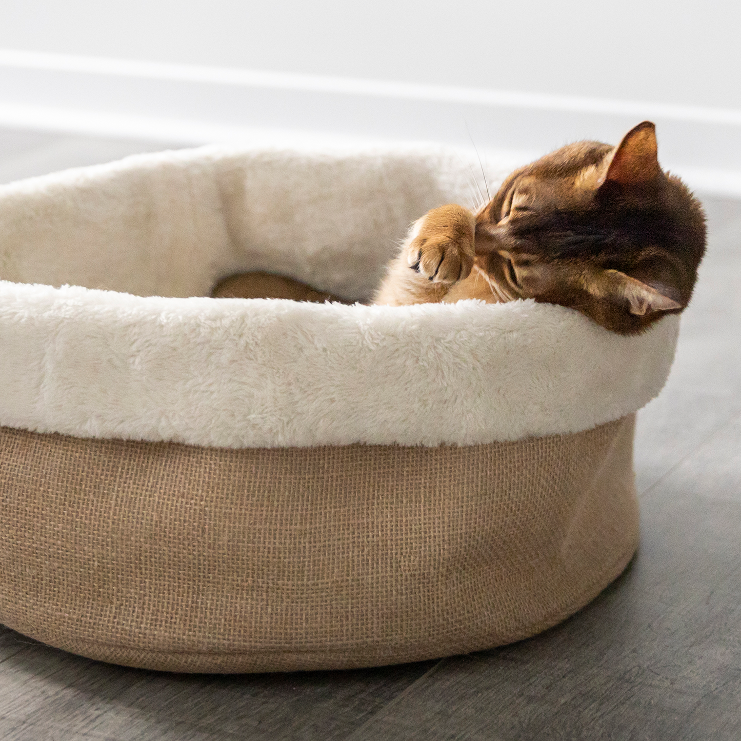 Cozy basket for cat & small dog – BeOneBreed