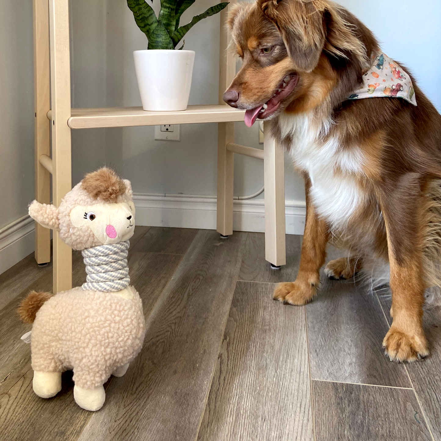 Plush toy for dog, llama style