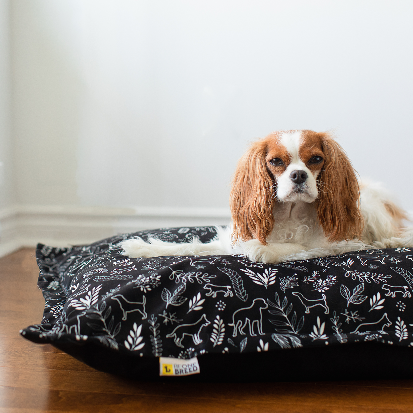 Memory foam dog bed, botanical dogs style