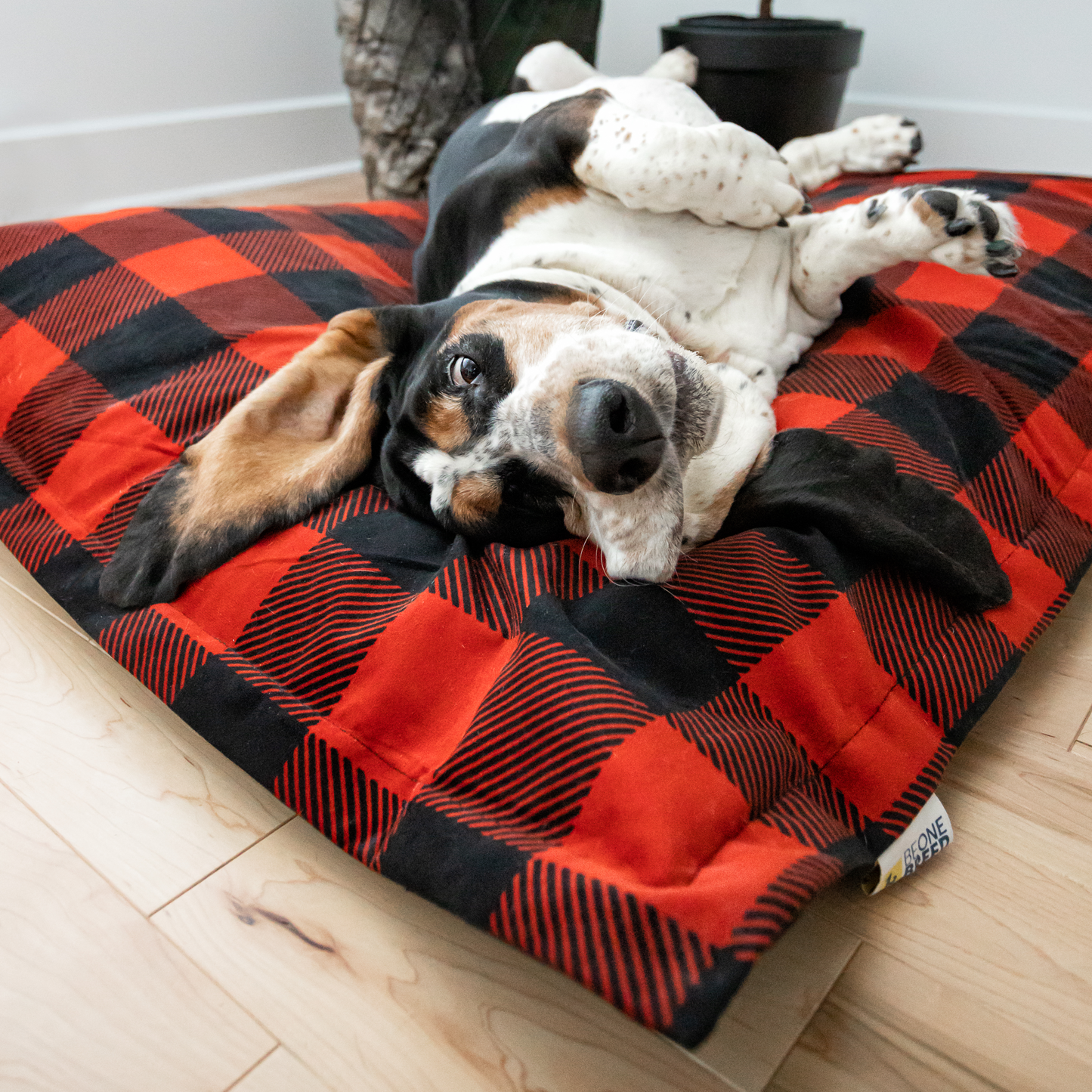 Memory foam dog bed, buffalo style