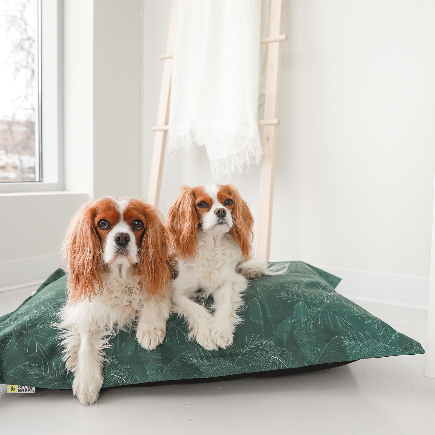 Memory foam dog bed, greenery style