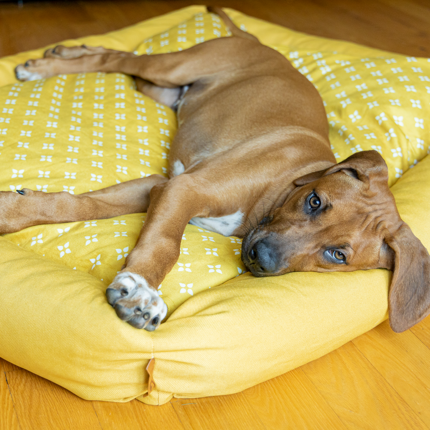 Memory foam pet bed with padded sides, geometric ocher