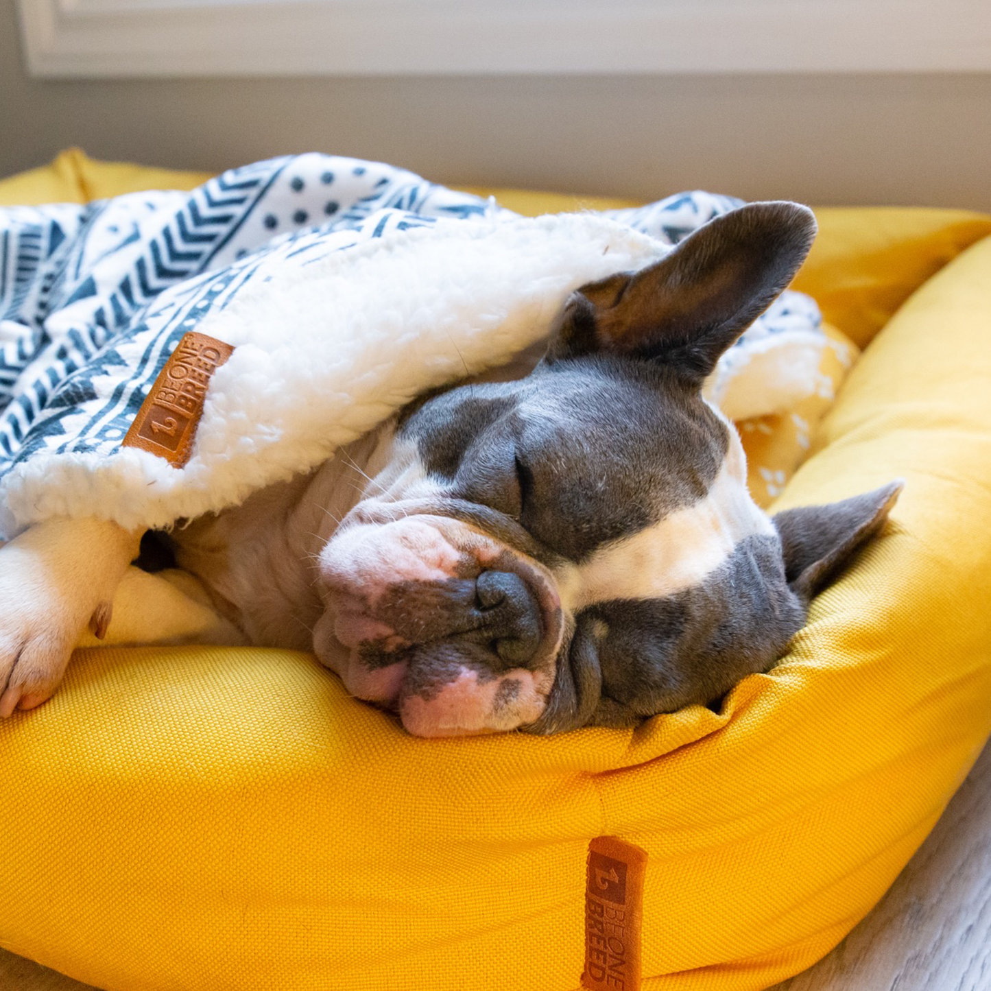 Memory foam pet bed with padded sides, geometric ocher