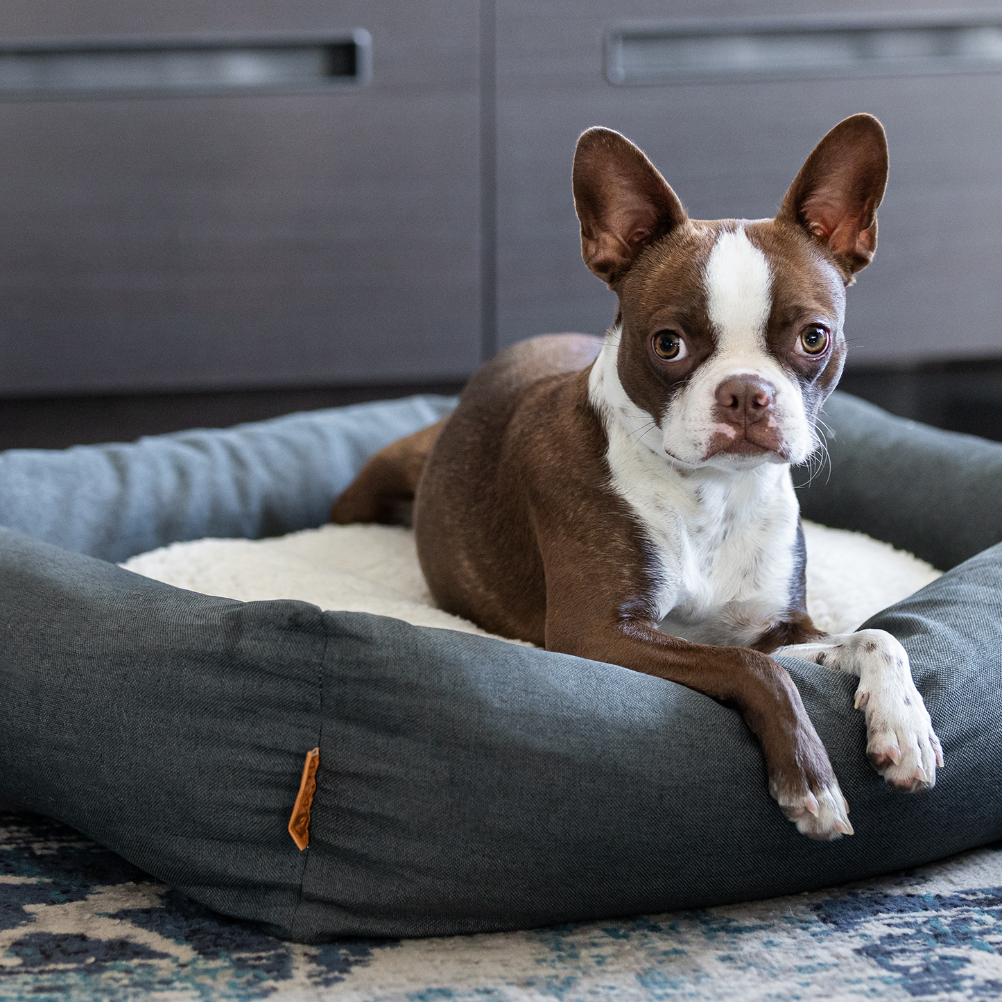 Memory foam pet bed with padded sides, gray and sherpa