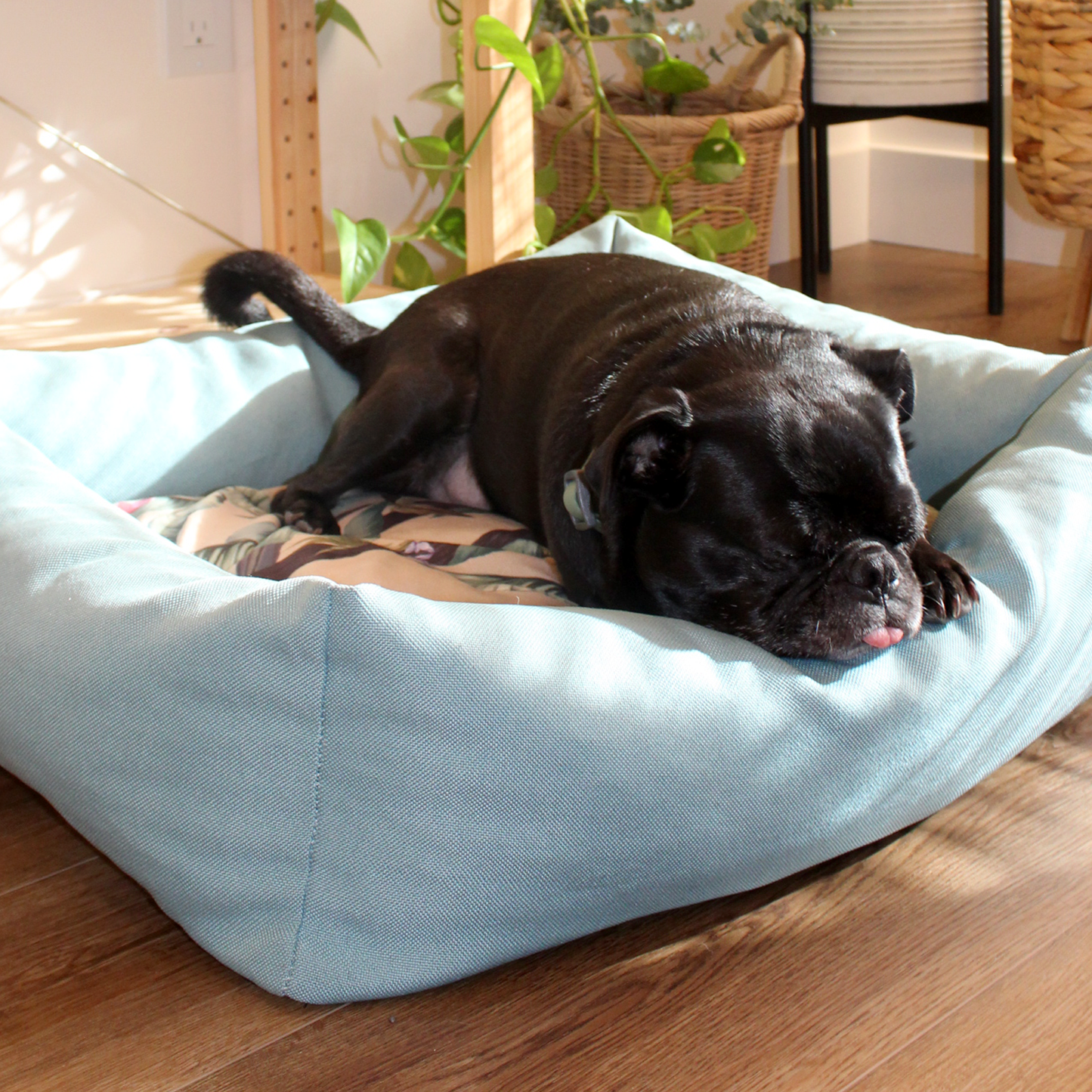 Memory foam pet bed with padded sides, turquoise