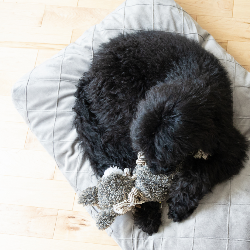 Memory foam pet bed, gray style