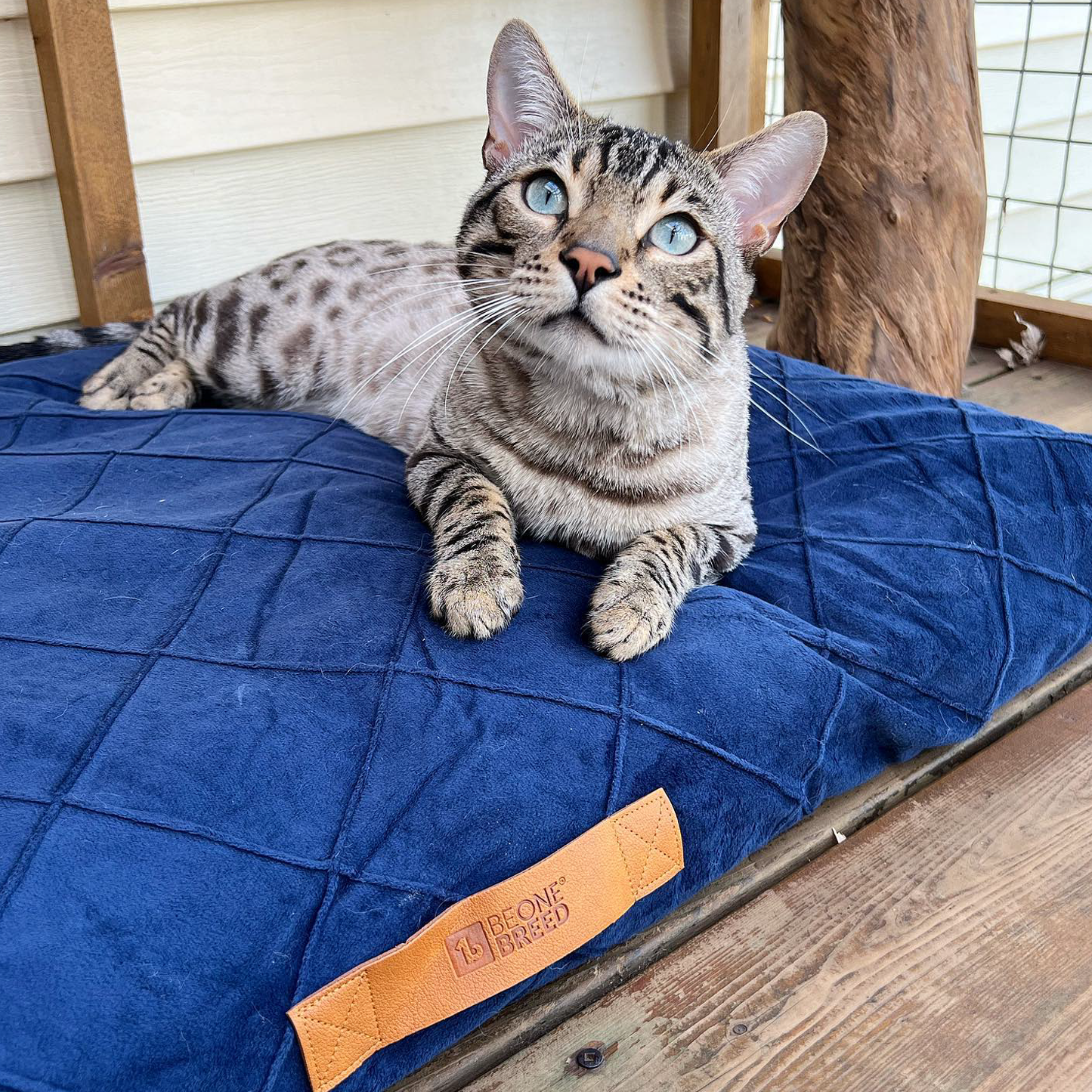 Memory foam pet bed, teal plaid style