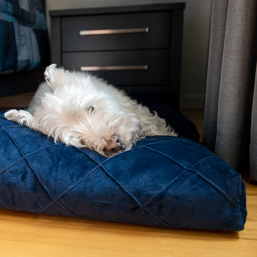 Memory foam pet bed, teal plaid style