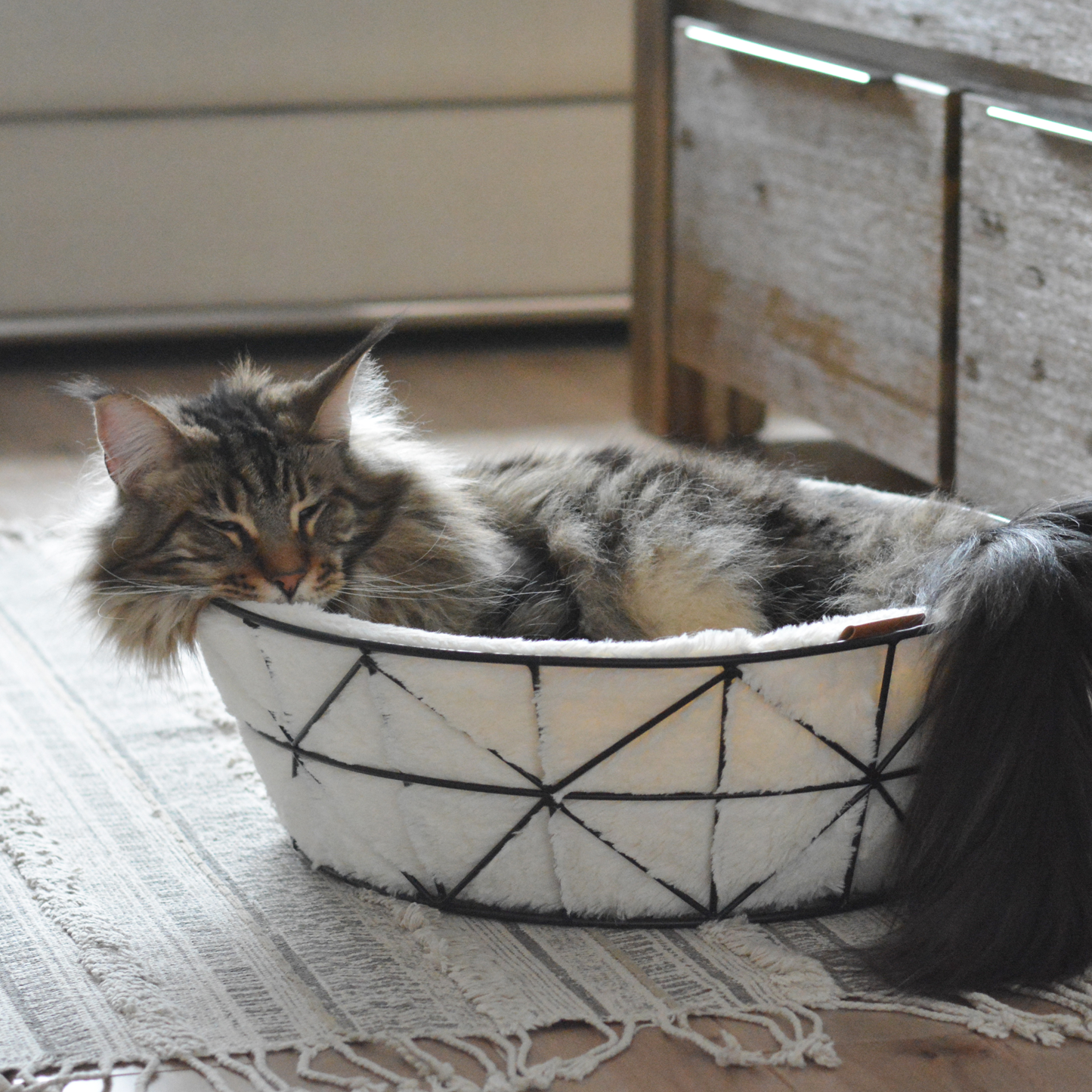 Metal basket bed for cat, black