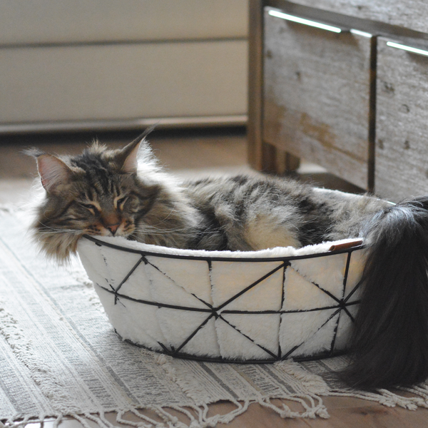 Metal cat bed hot sale