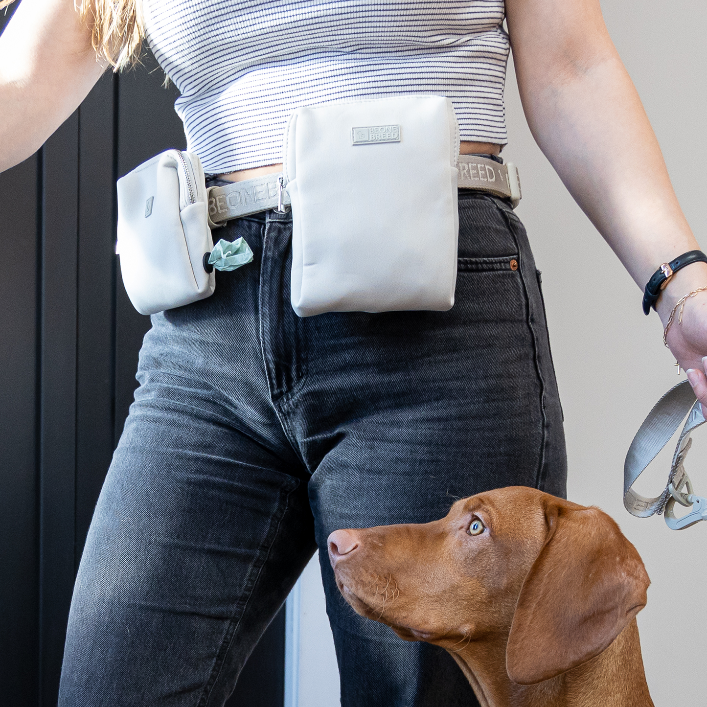 Neoprene utility pouch belt BeOneBreed