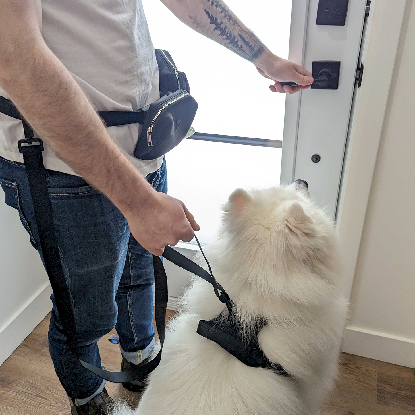 Adjustable nylon dog leash, black