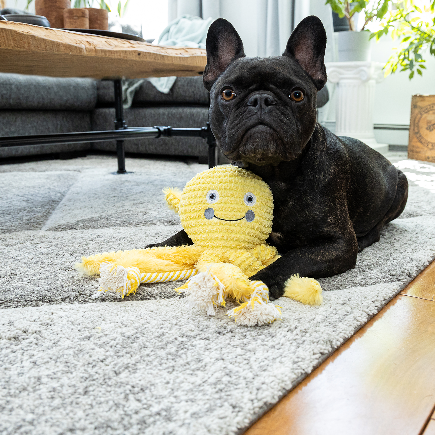 Plush toy for dog, octopus style