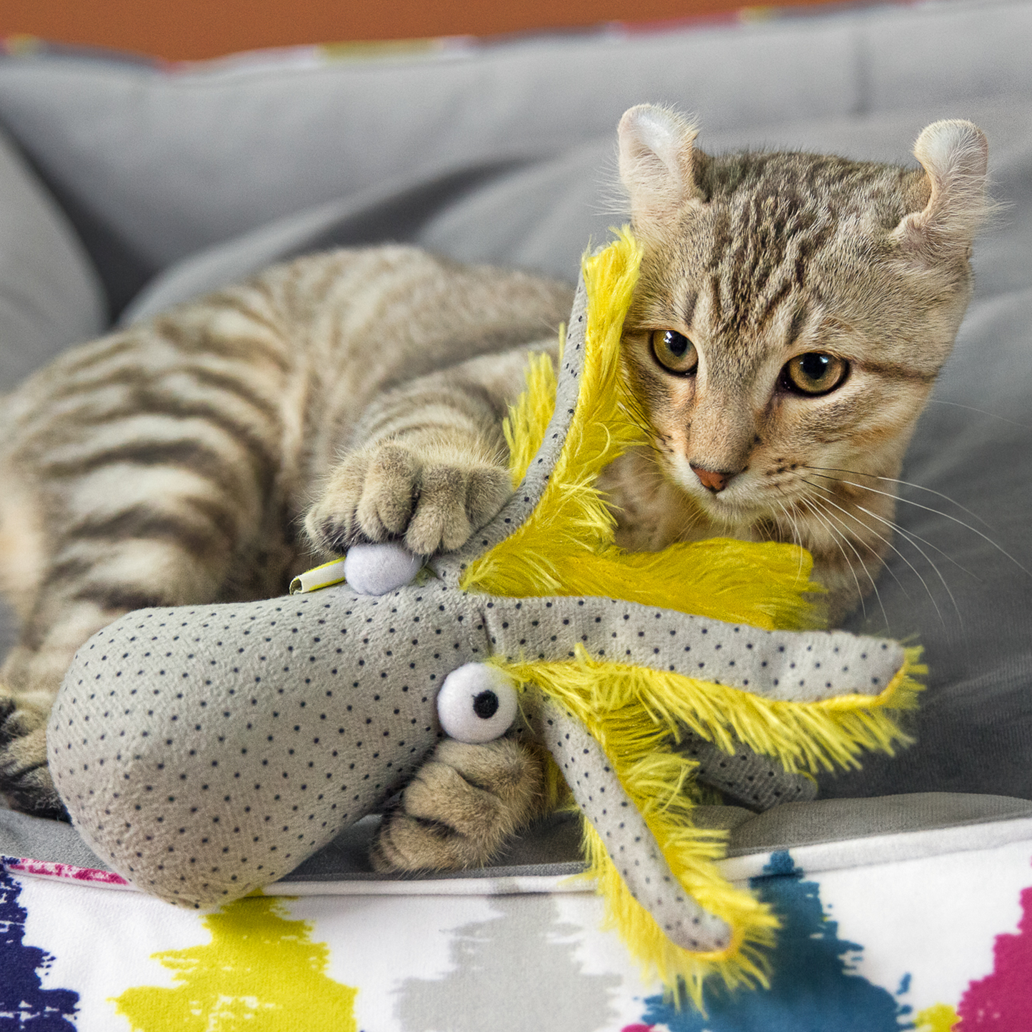 Octopus sales cat toy