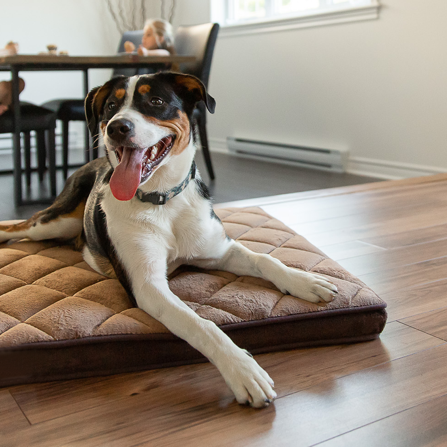 Orthopedic diamond dog bed 3 sizes BeOneBreed