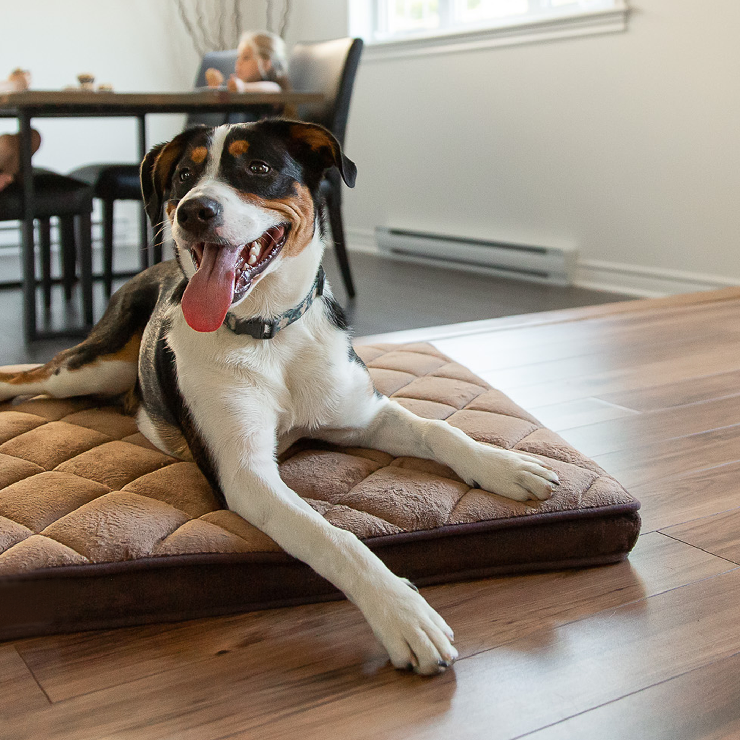 Orthopedic memory foam dog bed, brown