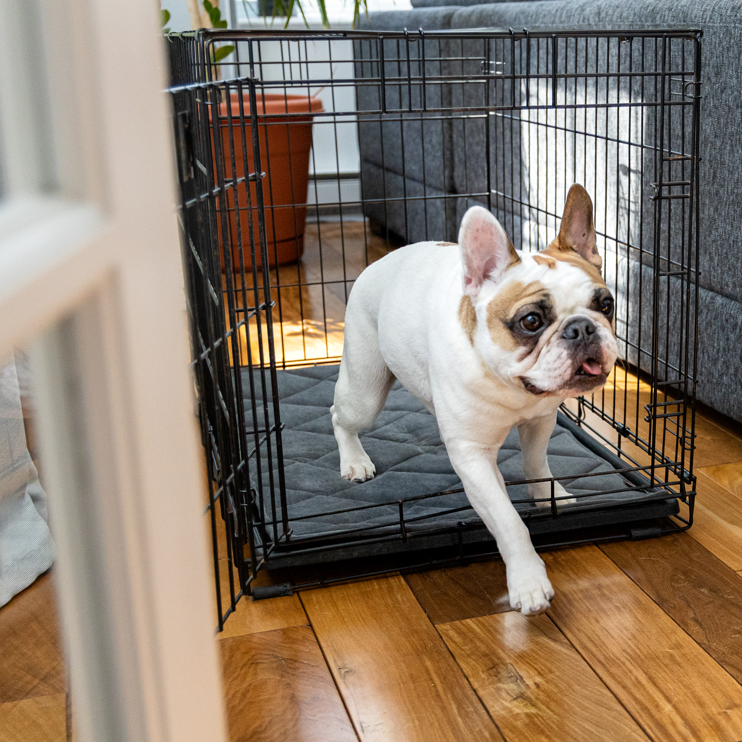 Crate mat bed for dog, dark gray