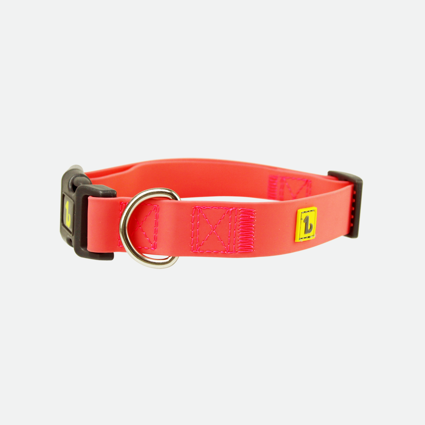 Dog collars shopify best sale