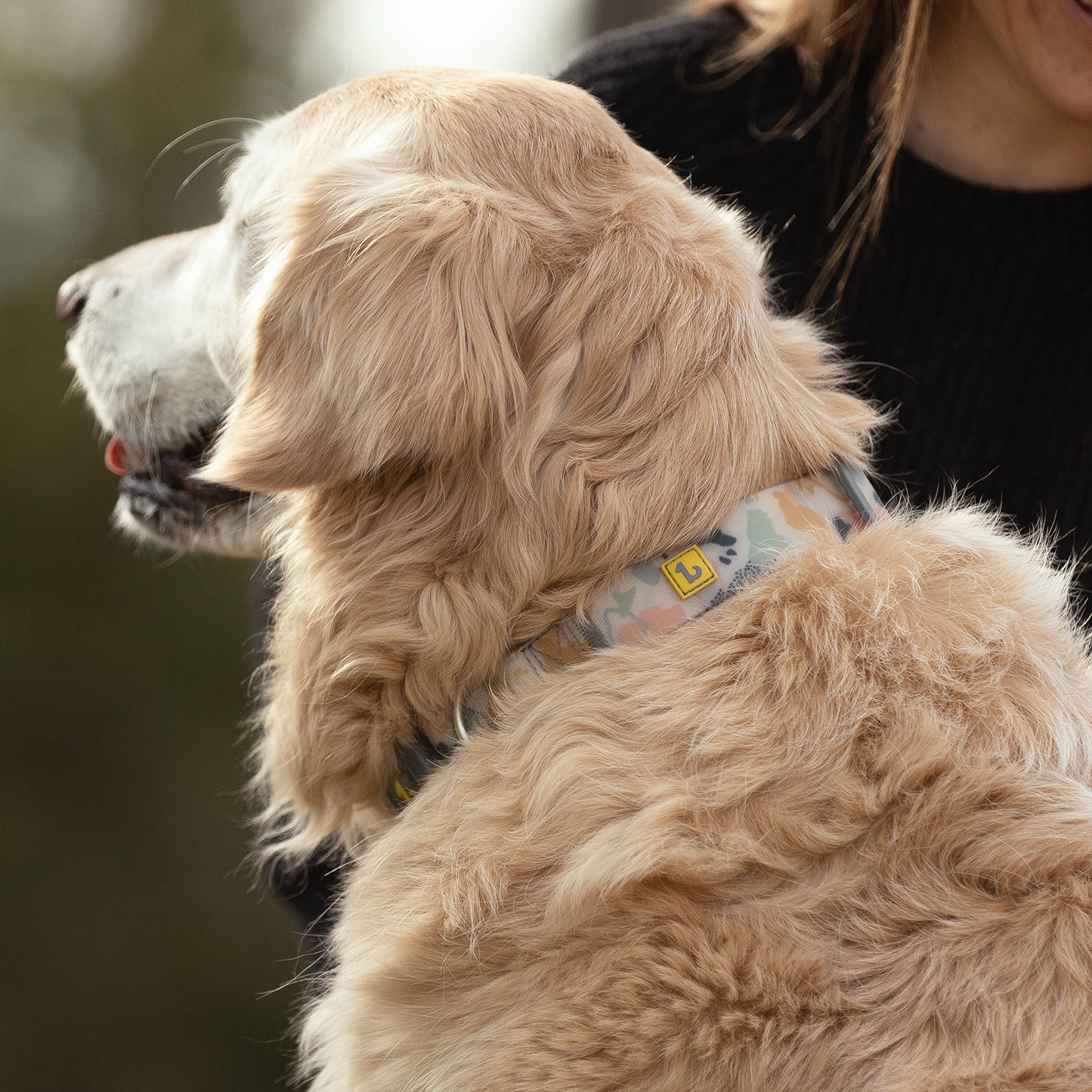Silicone collar for dog, terrazzo style