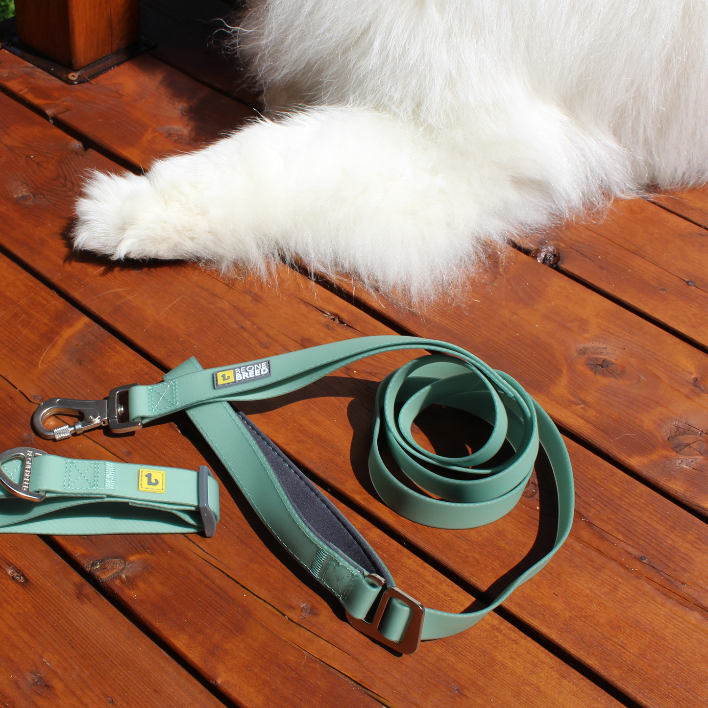 Silicone leash for dog, sage style