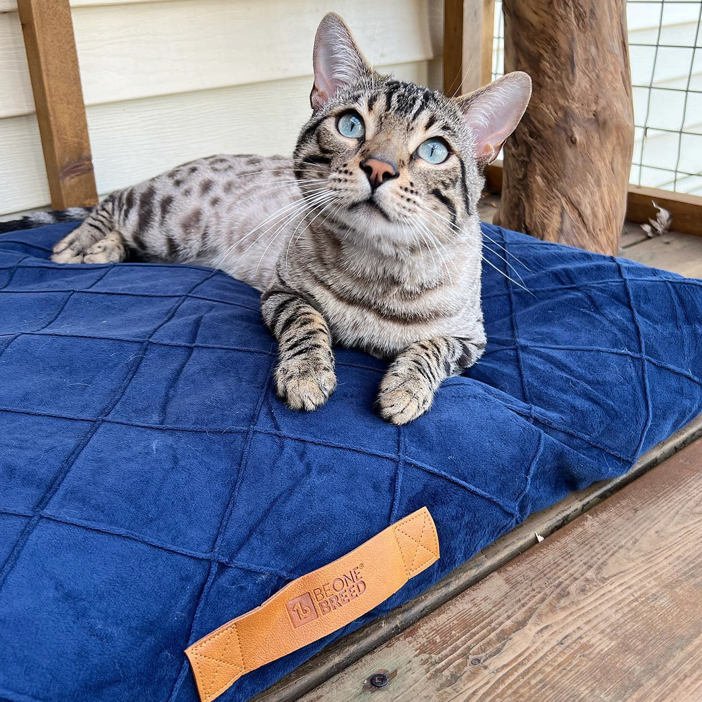 Supplementry sky dog bed cover