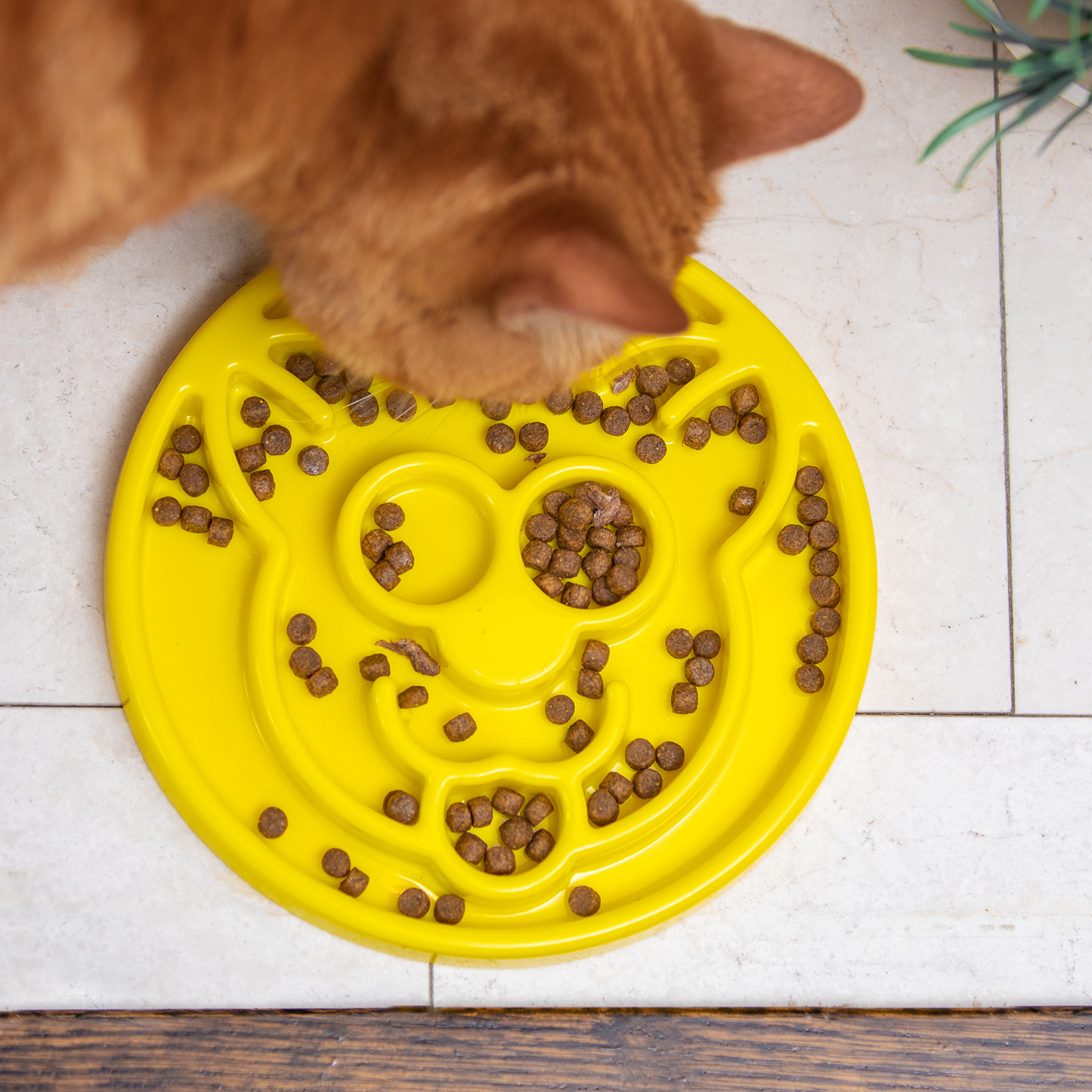 Interactive slow feeder bowl for cat, beginner level