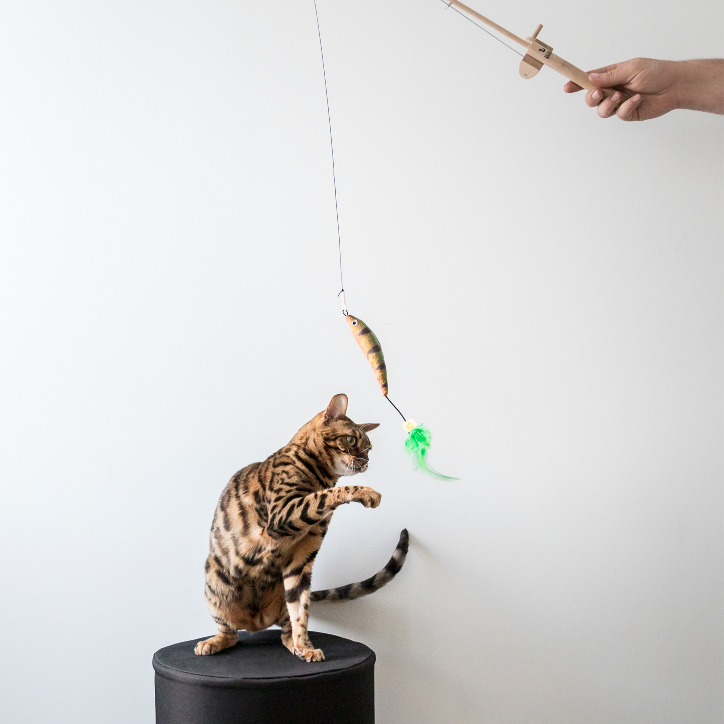 Toy Telescopic Fishing Rod with Reel for Cat