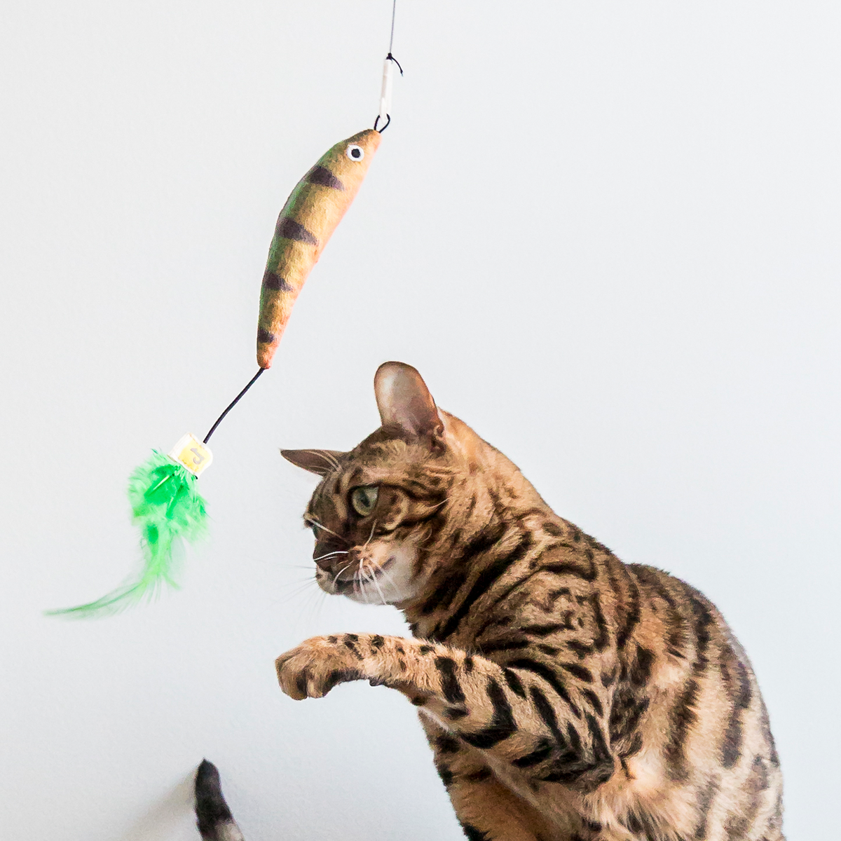 Xwq Cat Stick Toy Resistant to Bite Stress Relief Long Fishing Rod Cat Teaser Toy Pet Supplies, Black