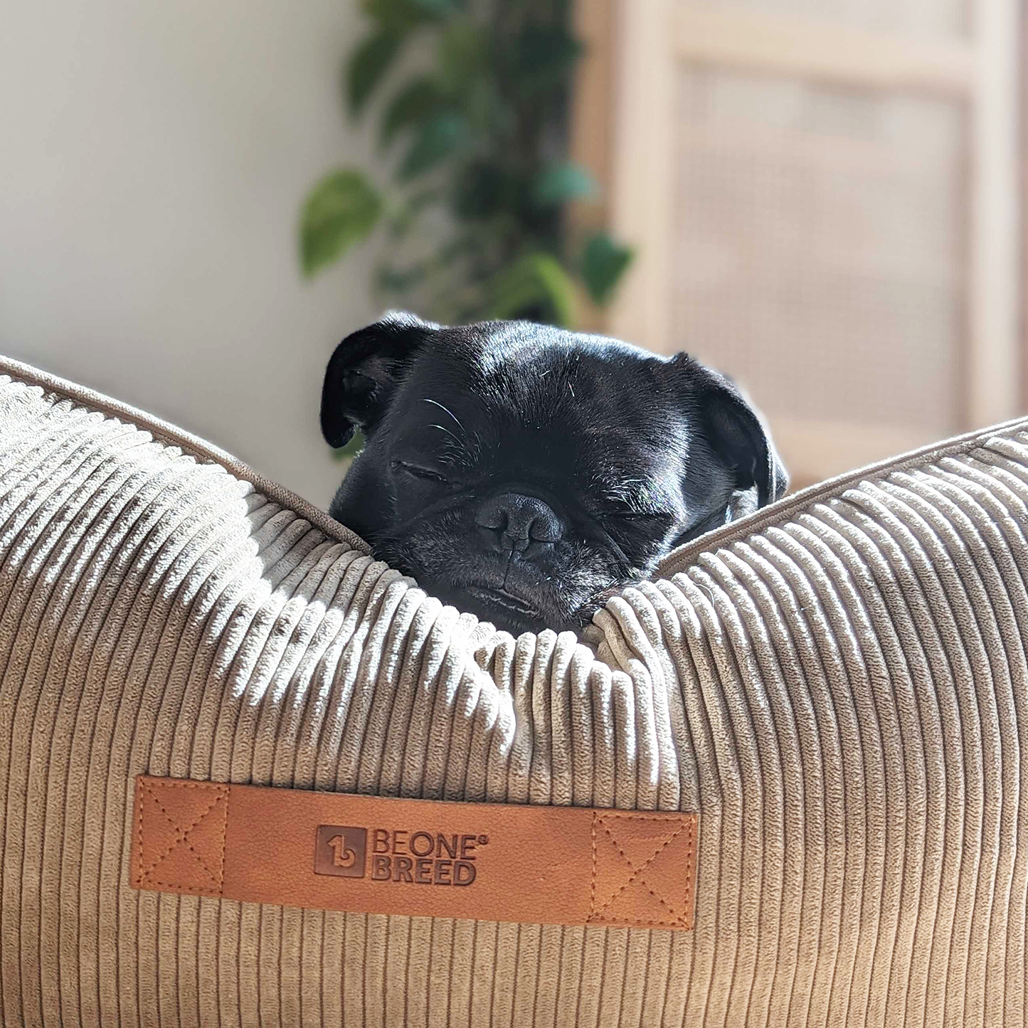 Memory foam dog bed with headrest, beige