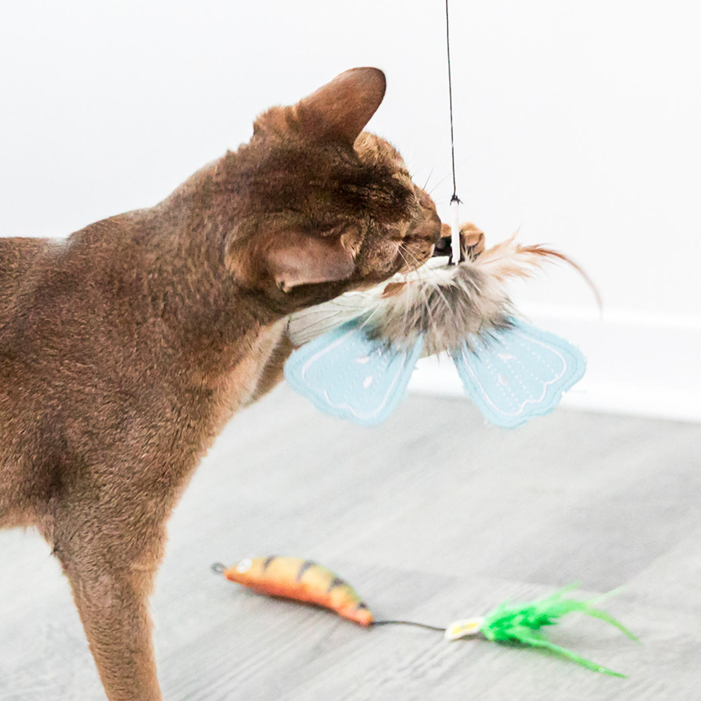 1pc Fishing Rod: Tease Your Cat with Hours of Fun!
