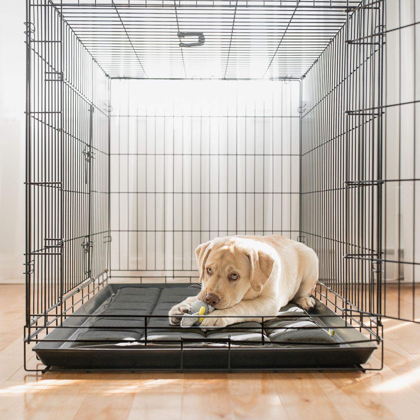 Reversible dog crate mat 3 sizes BeOneBreed