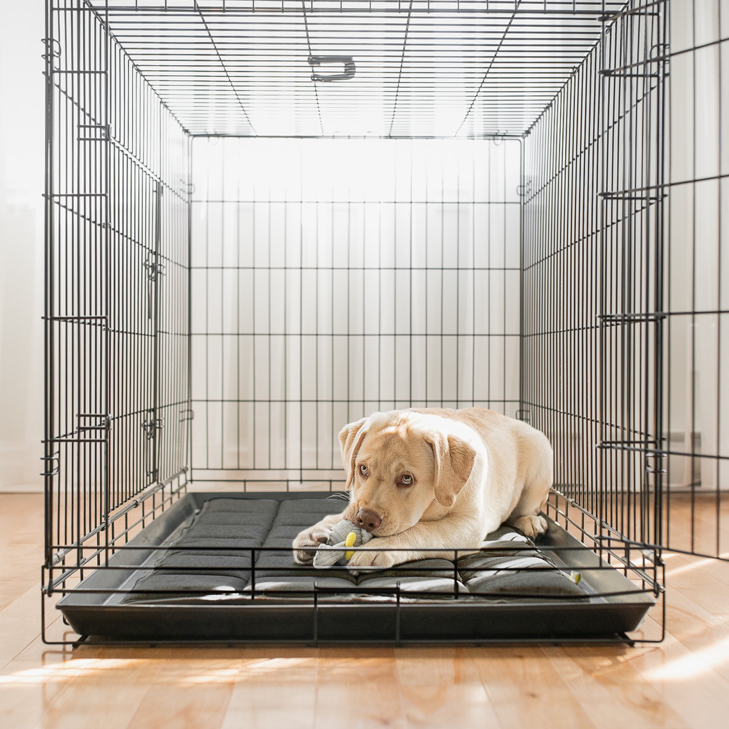 Crate dog bed, dark gray