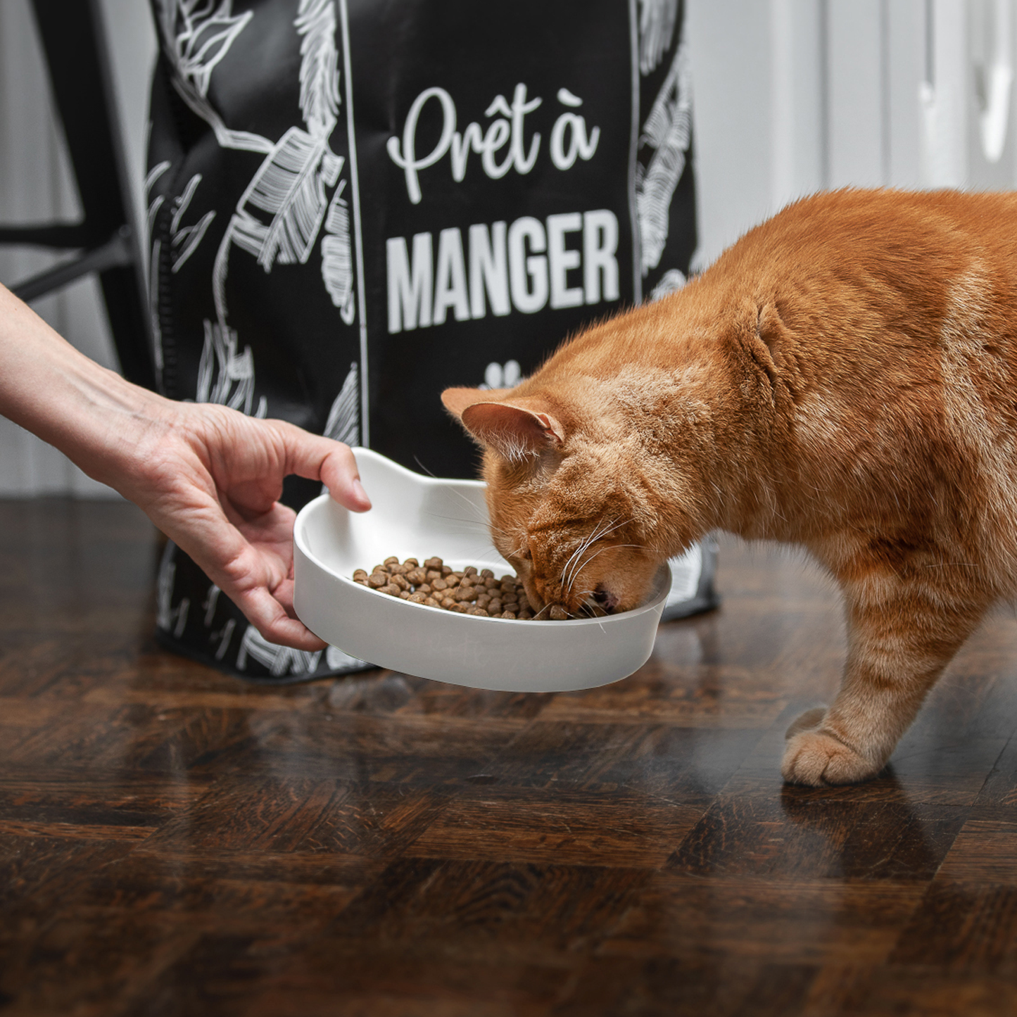 Ceramic cat bowl BeOneBreed