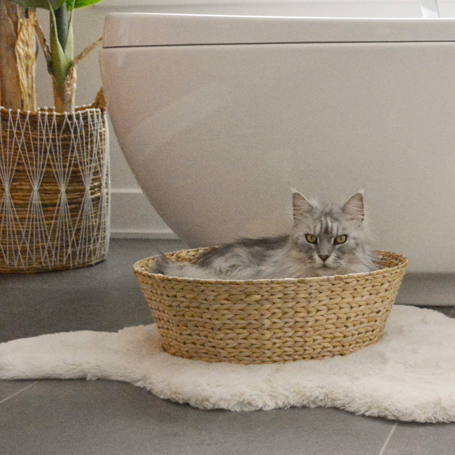 Woven basket bed for cat and small dog, beige